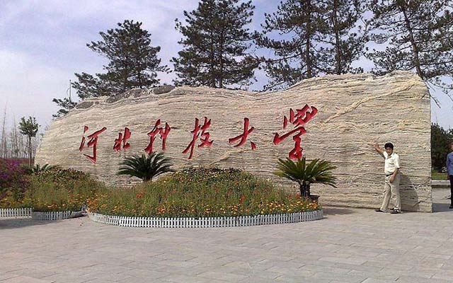 惠州花盆石