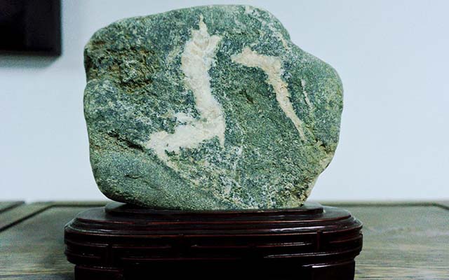 河津龟纹石